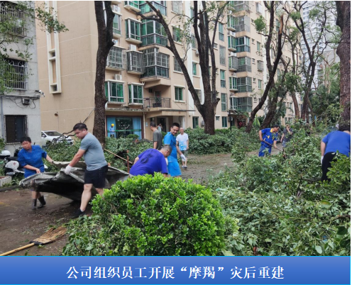 1745485335884991.png 1745485016088.png