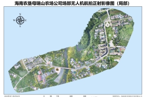 航拍正射影像图