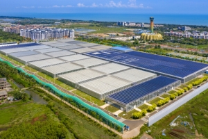 桂林洋国家热带农业公园