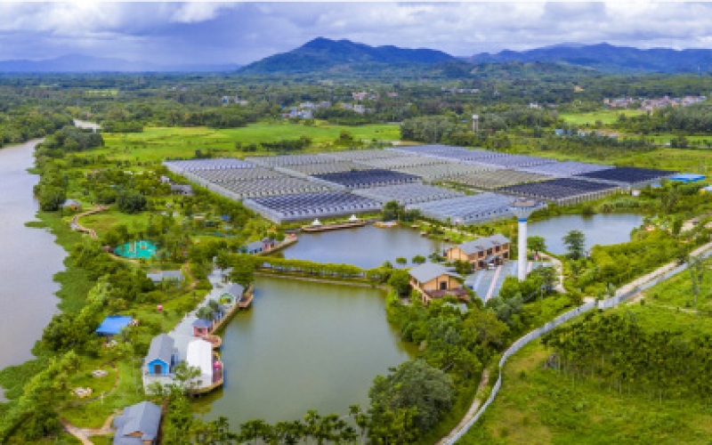 屯昌县猪哈哈的农场