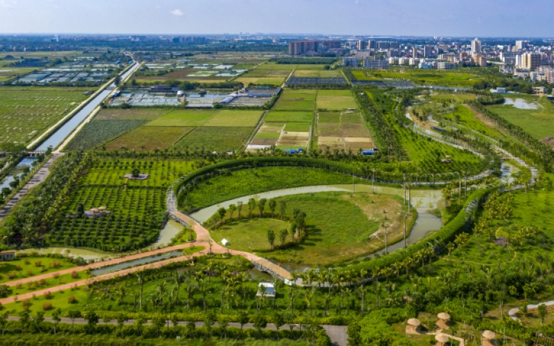 桂林洋国家热带农业公园