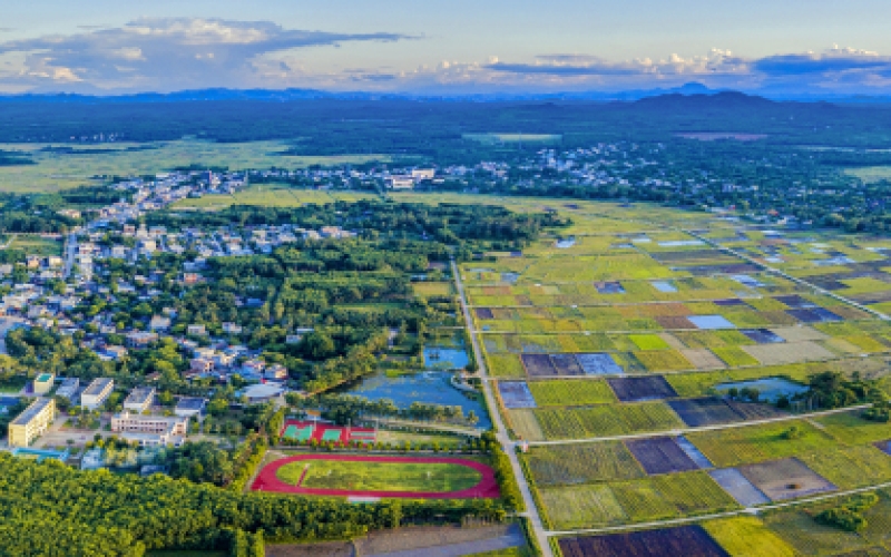 临高县松梅村田园
