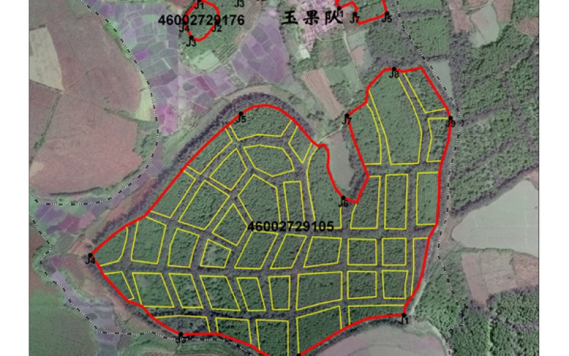 胶园勘界样图